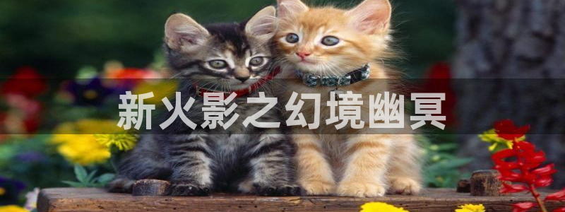 女神漫画免费