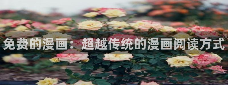 女神漫画下拉式免费